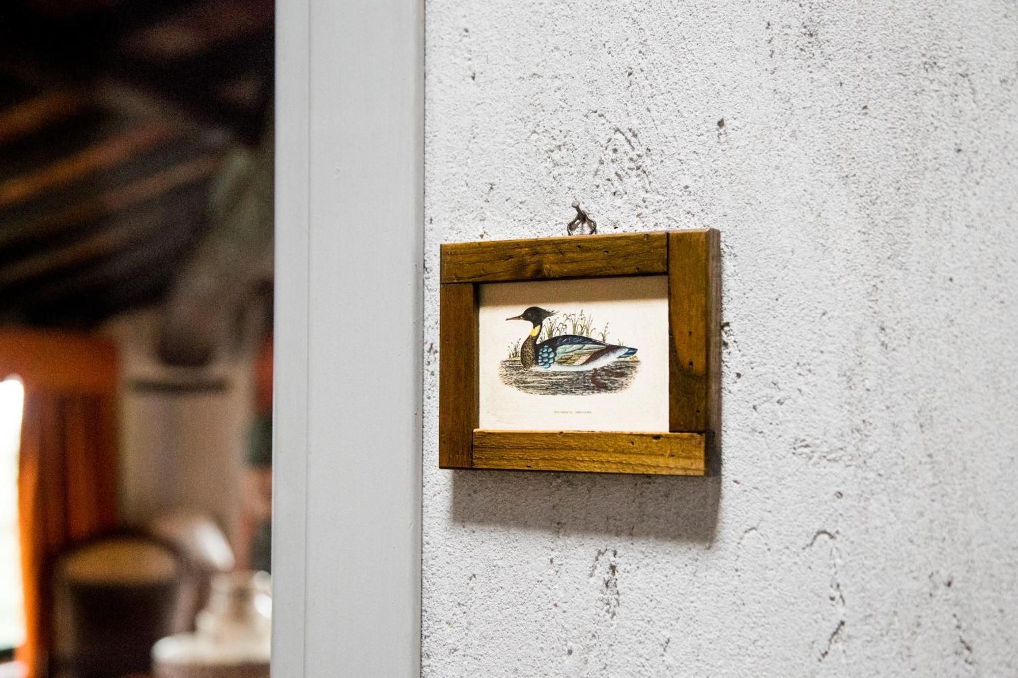 Casa Matilde Bed & Breakfast Mommio ห้อง รูปภาพ